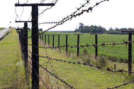Spiny wire border