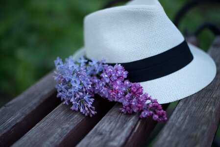 Hat lilac bench