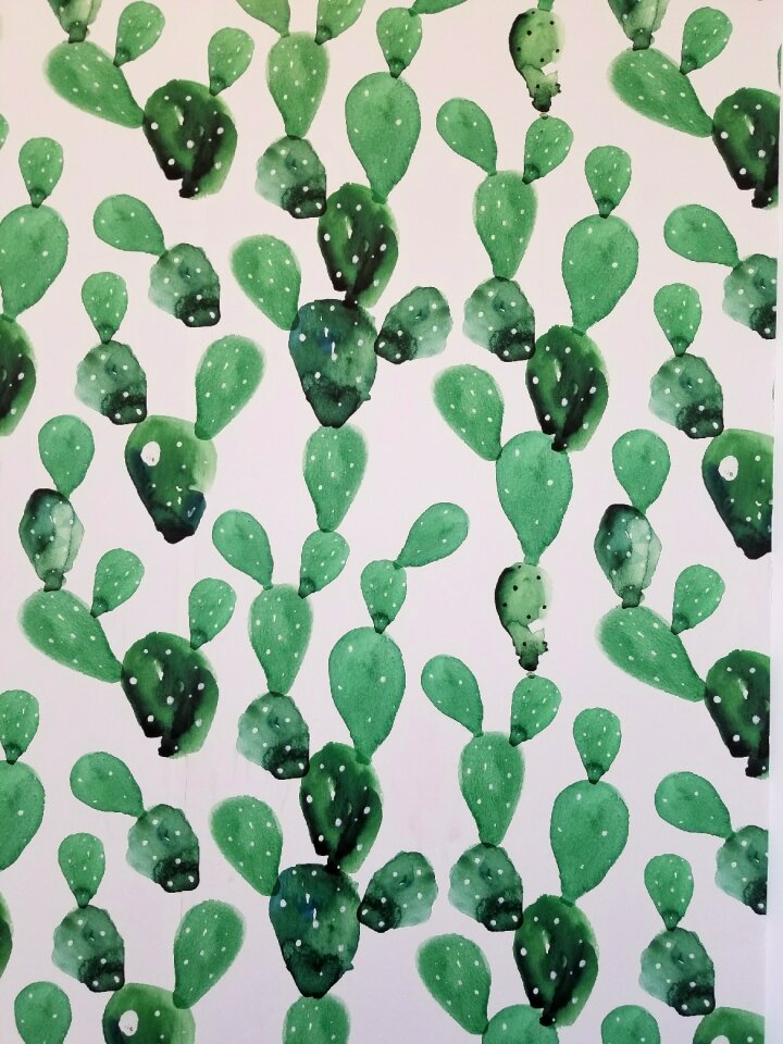 Green white android wallpaper
