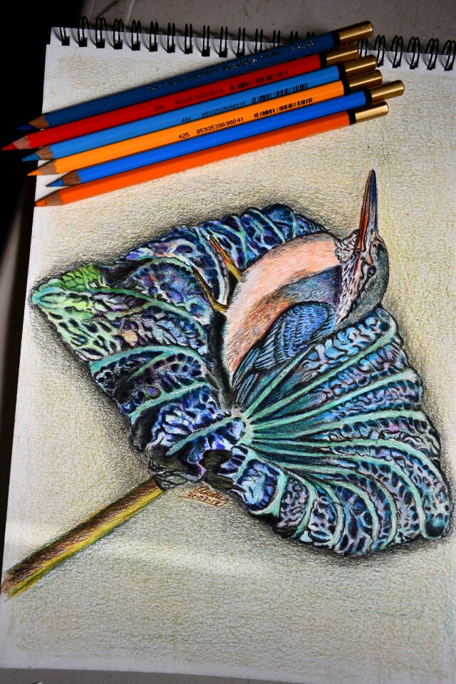 Art painting color