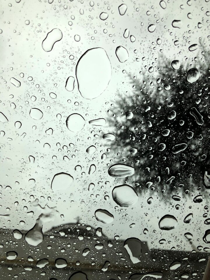 Rain window nature