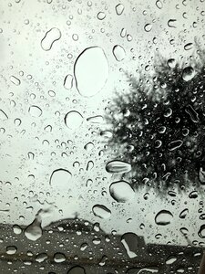 Rain window nature photo