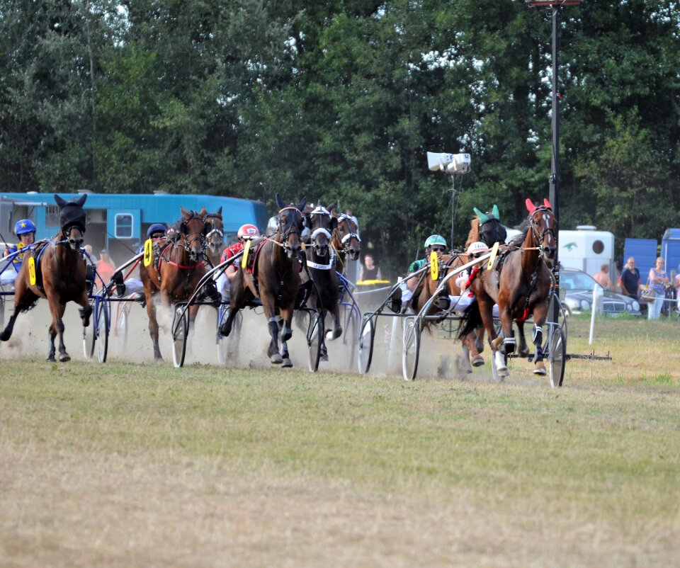 Racing traber jockey