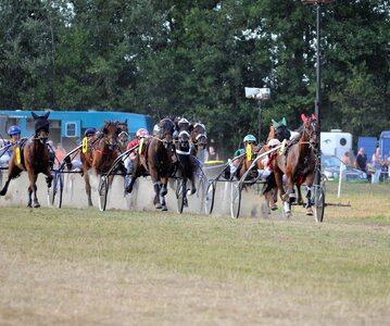 Racing traber jockey