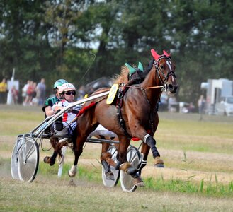 Racing traber jockey