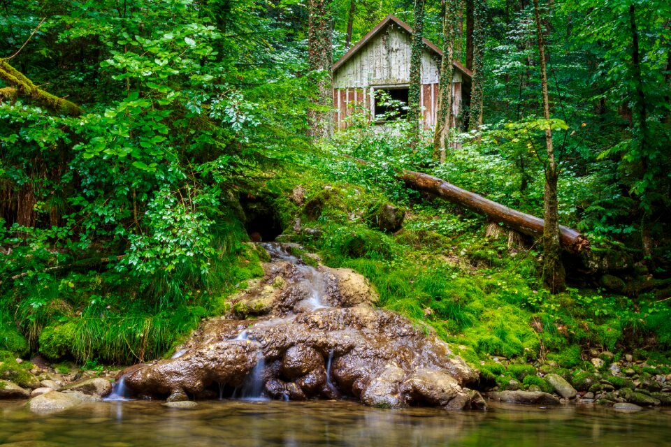 Country house forest house