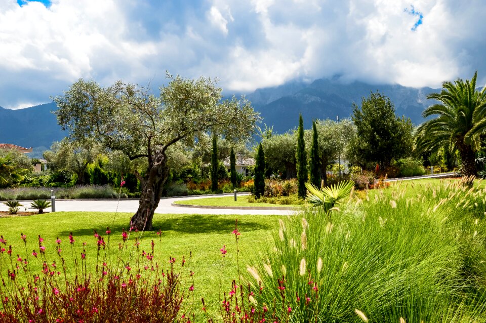 Mountain ile landscape