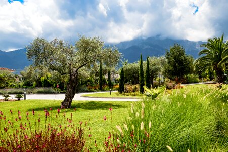 Mountain ile landscape