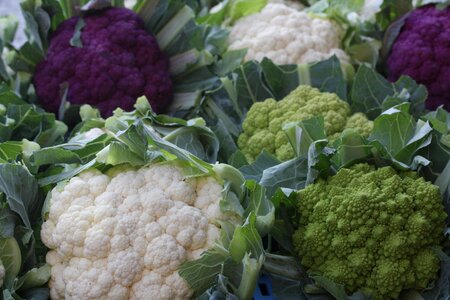 Nutrition food vitamins