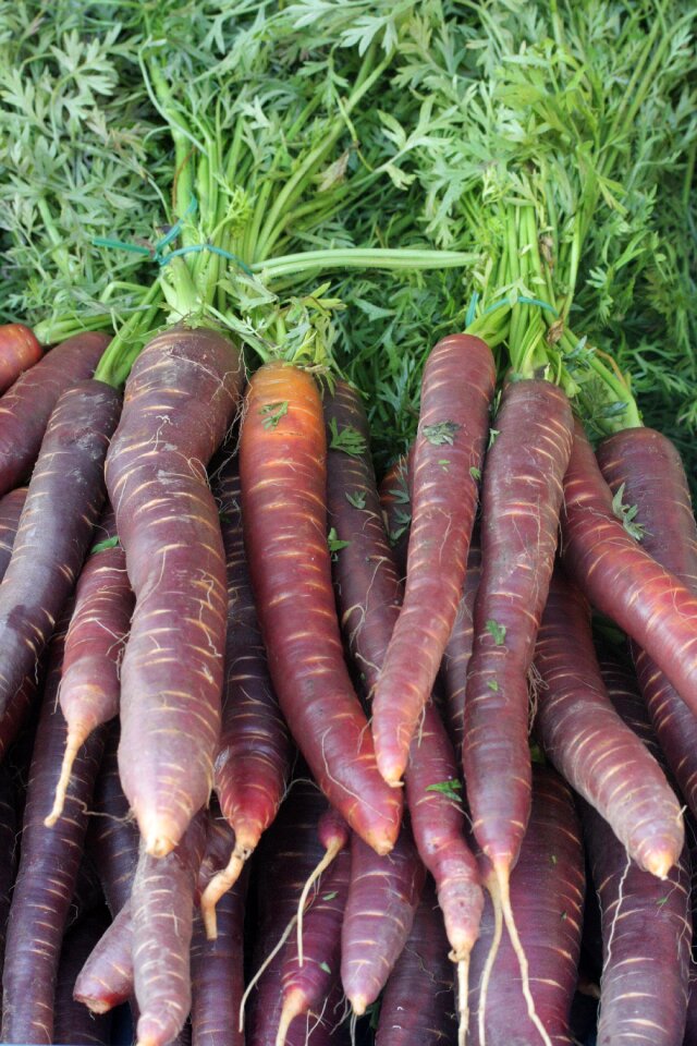 Urkarotte nutrition vegetables