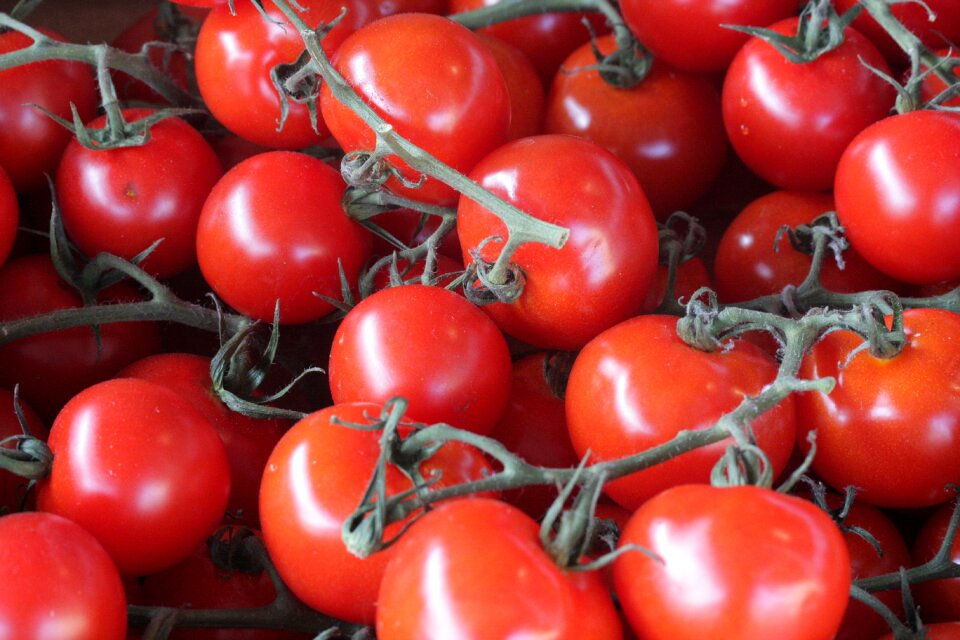 Life food fresh