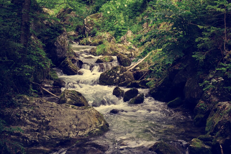Water nature stream