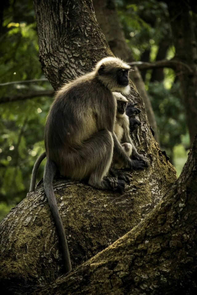 Cute nature little