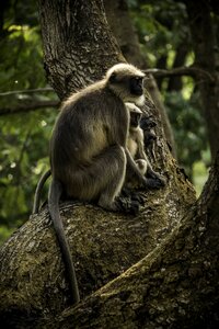 Cute nature little