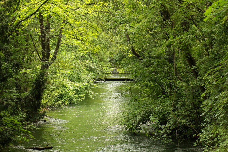 Water scenic creek