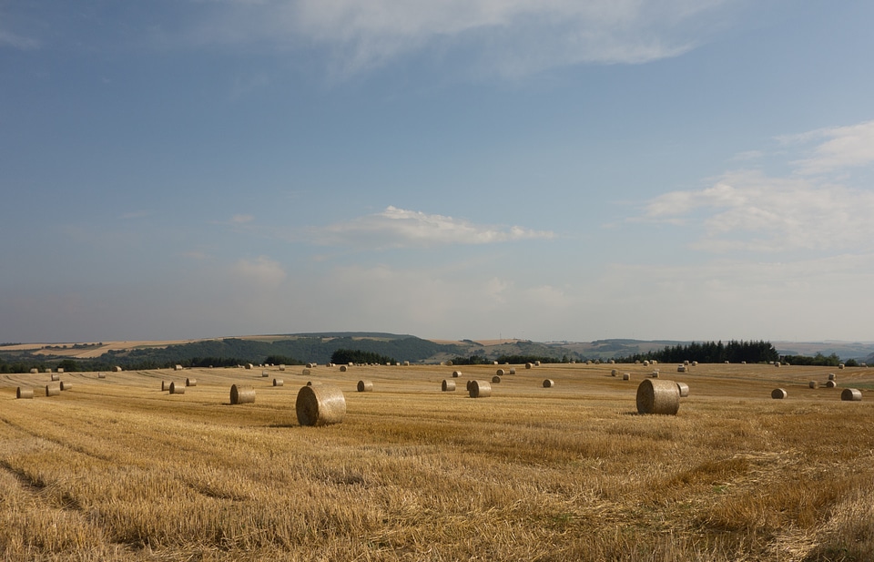 Round bales quadrant hay