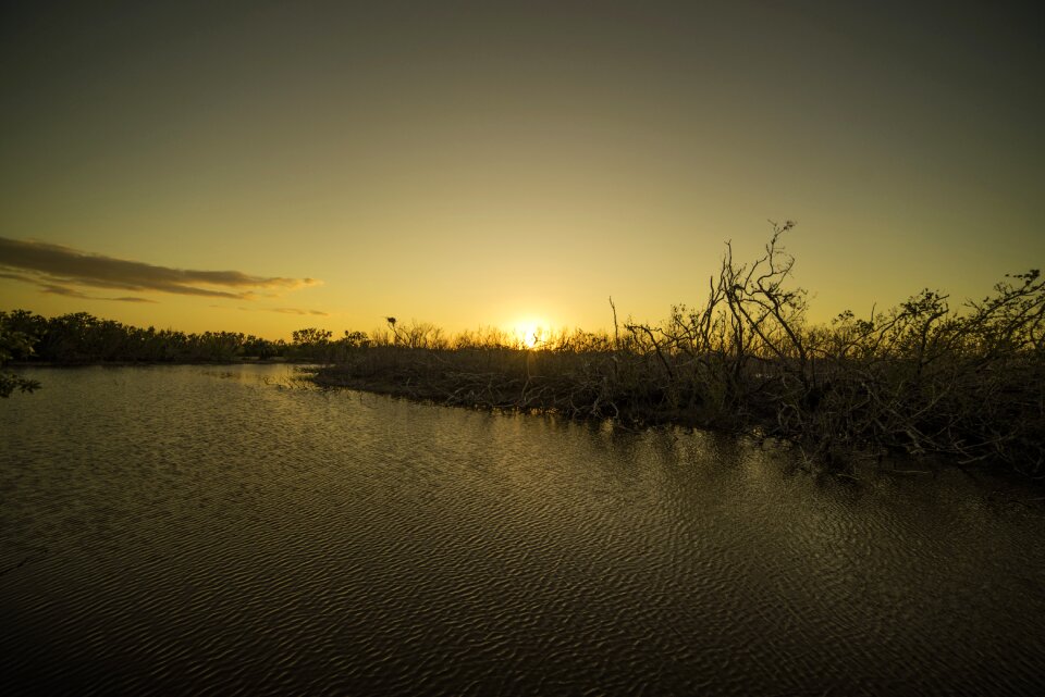 Nature outdoors sunset