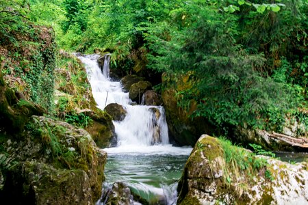 Water nature stream