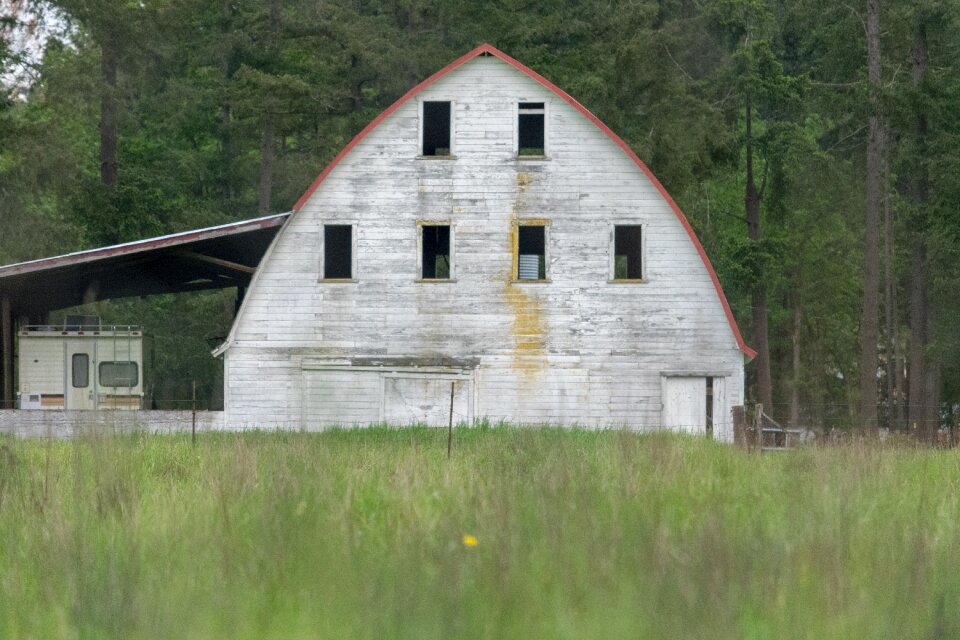 Summer nature house photo