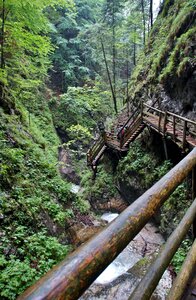Dr vogelgesang klamm