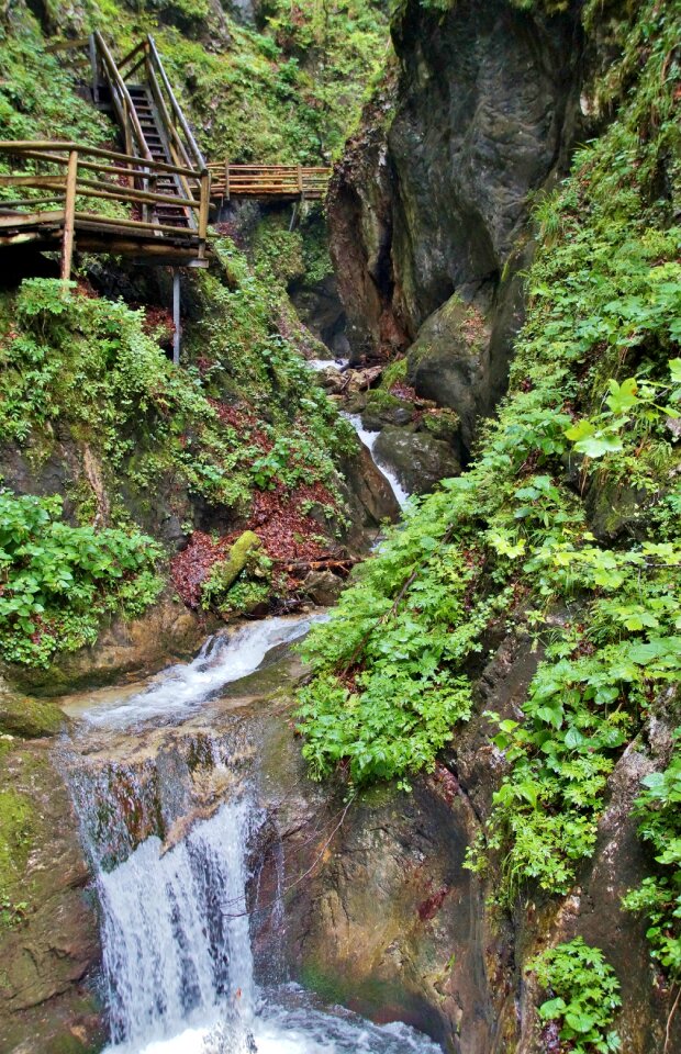 Dr vogelgesang klamm