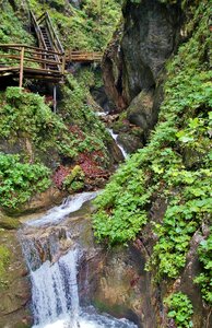 Dr vogelgesang klamm