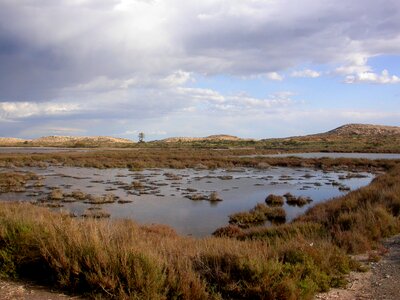 Habitat landscape murcia photo