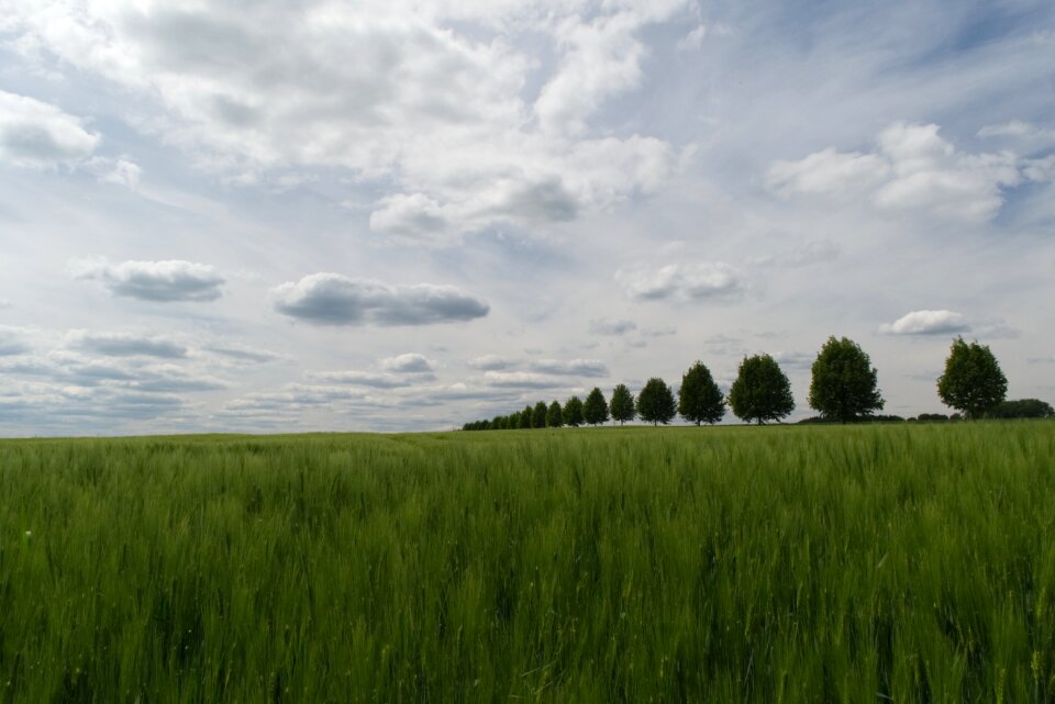 Sky green blue
