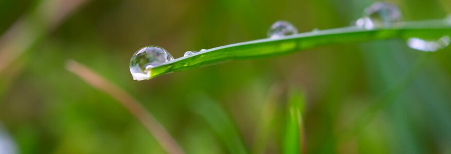 Drop of water liquid inject