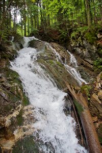Dr vogelgesang klamm
