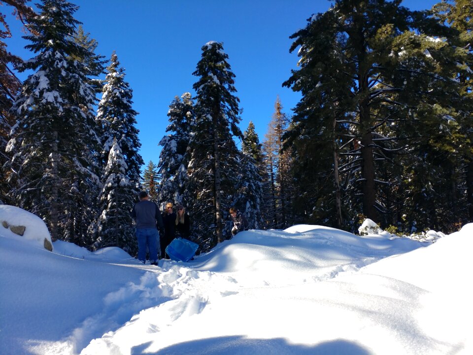 Winter landscape scenic