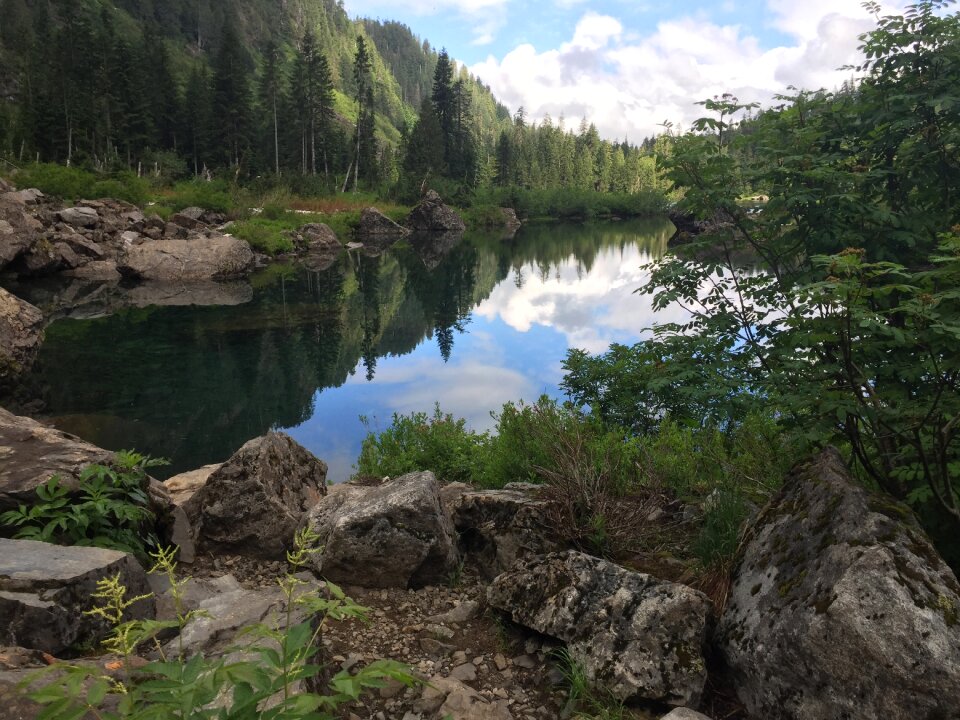 Nature outdoors