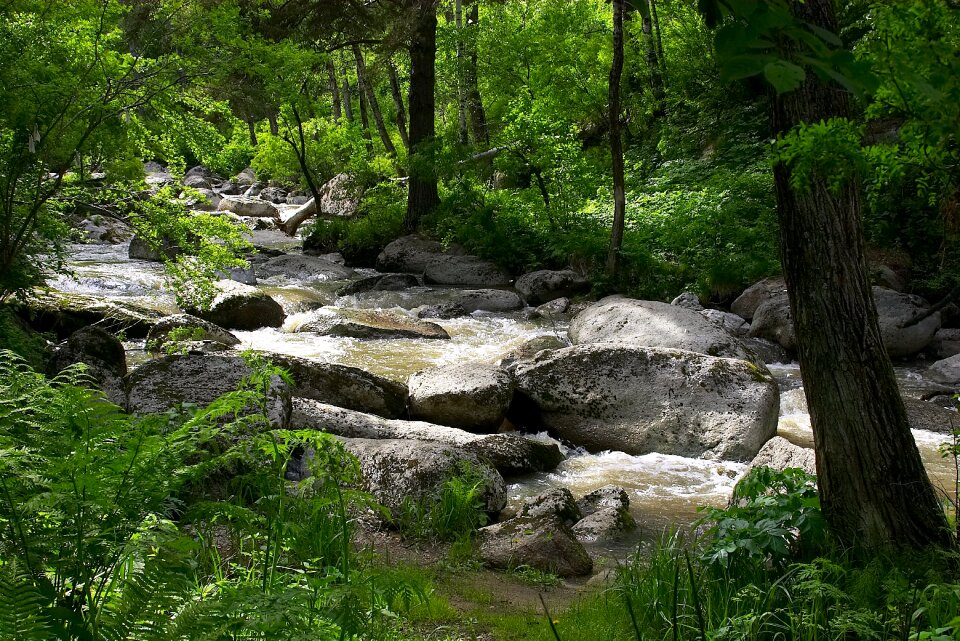 Siberia belokurikha water