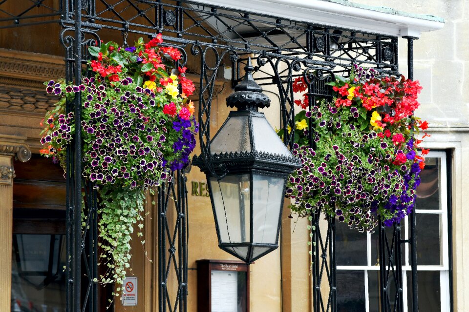 Ornamental wiltshire devizes