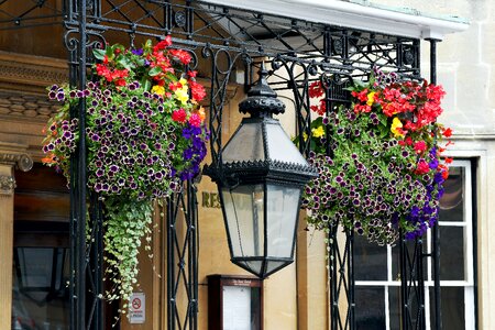 Ornamental wiltshire devizes