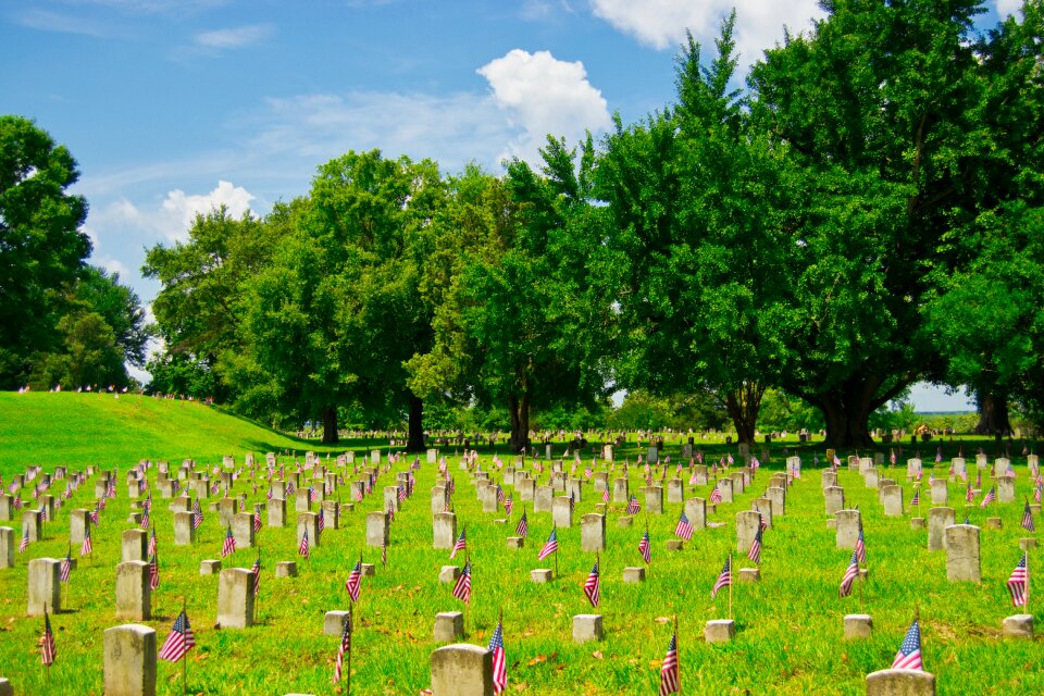 Cemetery graves flags