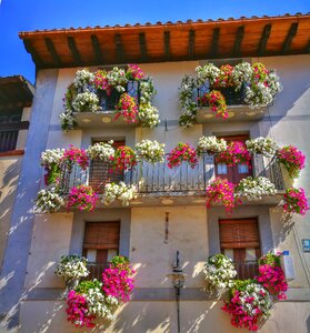 Colorful summer balconies