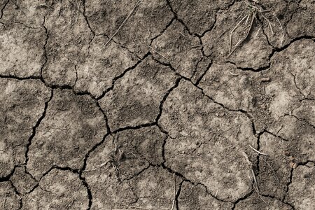 Environment summer climate