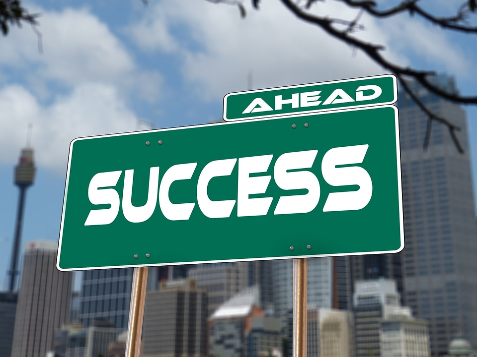 Career rise development