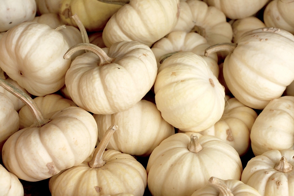 White food decoration