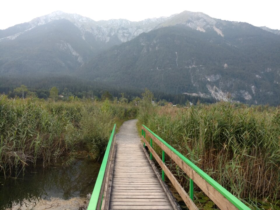 Swamp mountain travel