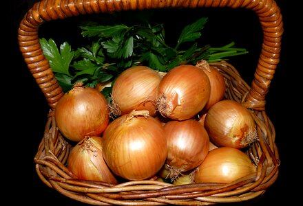 Food cooking nutrition