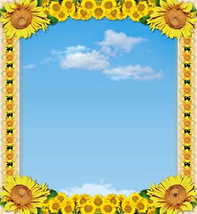 Clearance template creativity