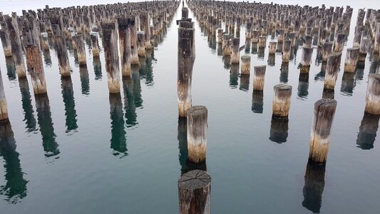 Ocean pier wood posts