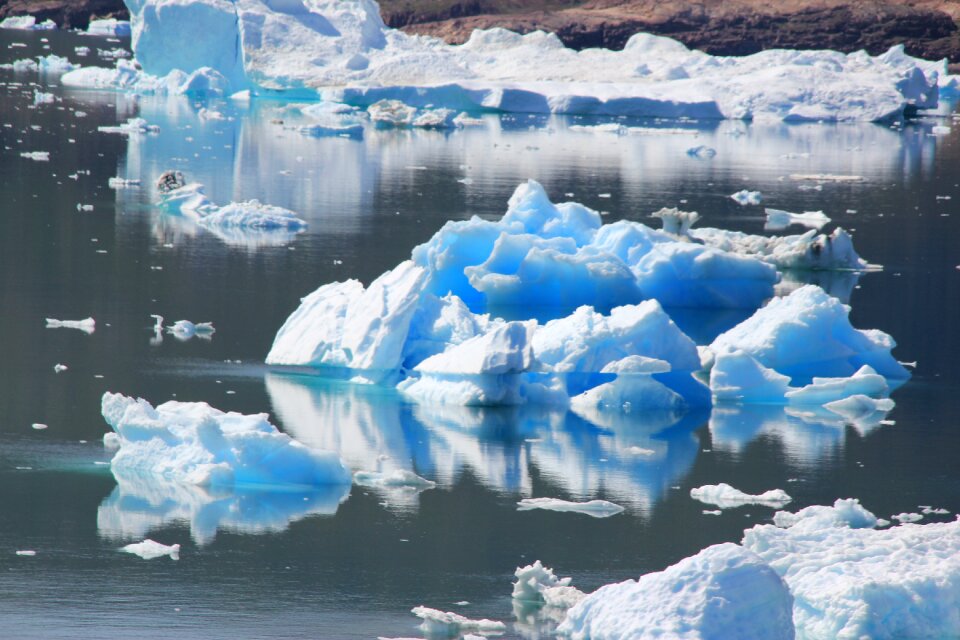 Greenland fjord icebergs