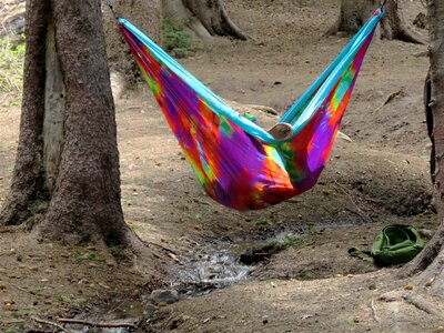 Colorful funny brown camping