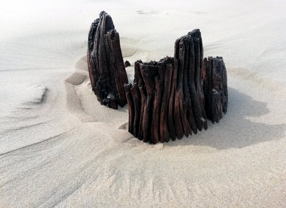 Driftwood shadow beach