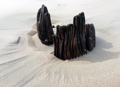 Driftwood shadow beach