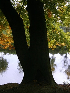 Water reflection mirroring photo