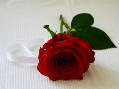 Heart love romantic